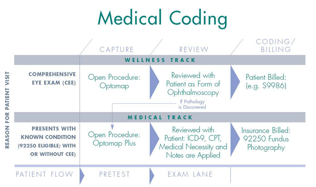 Medical Coding RCM CARE